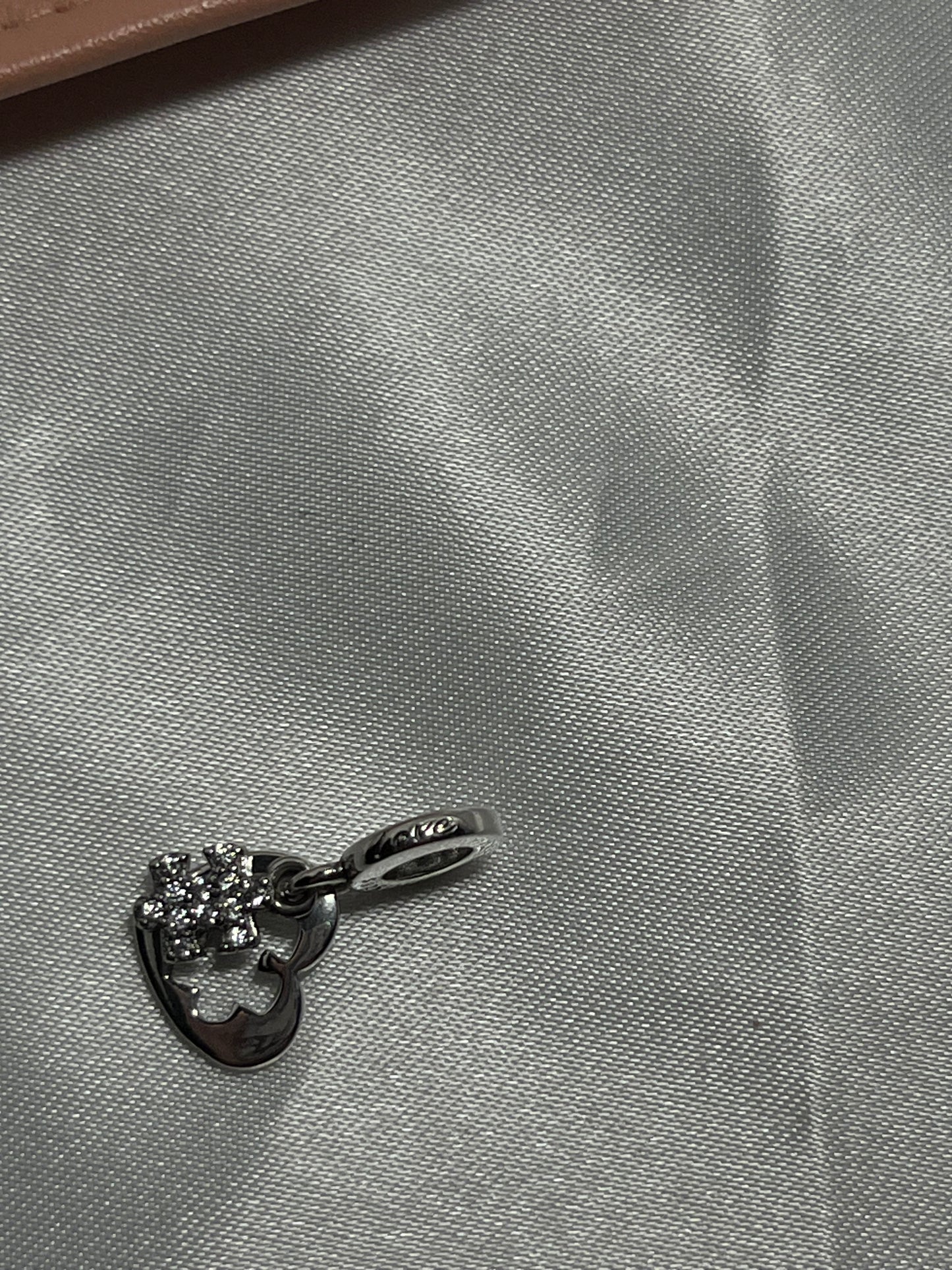 Silver 925 charms
