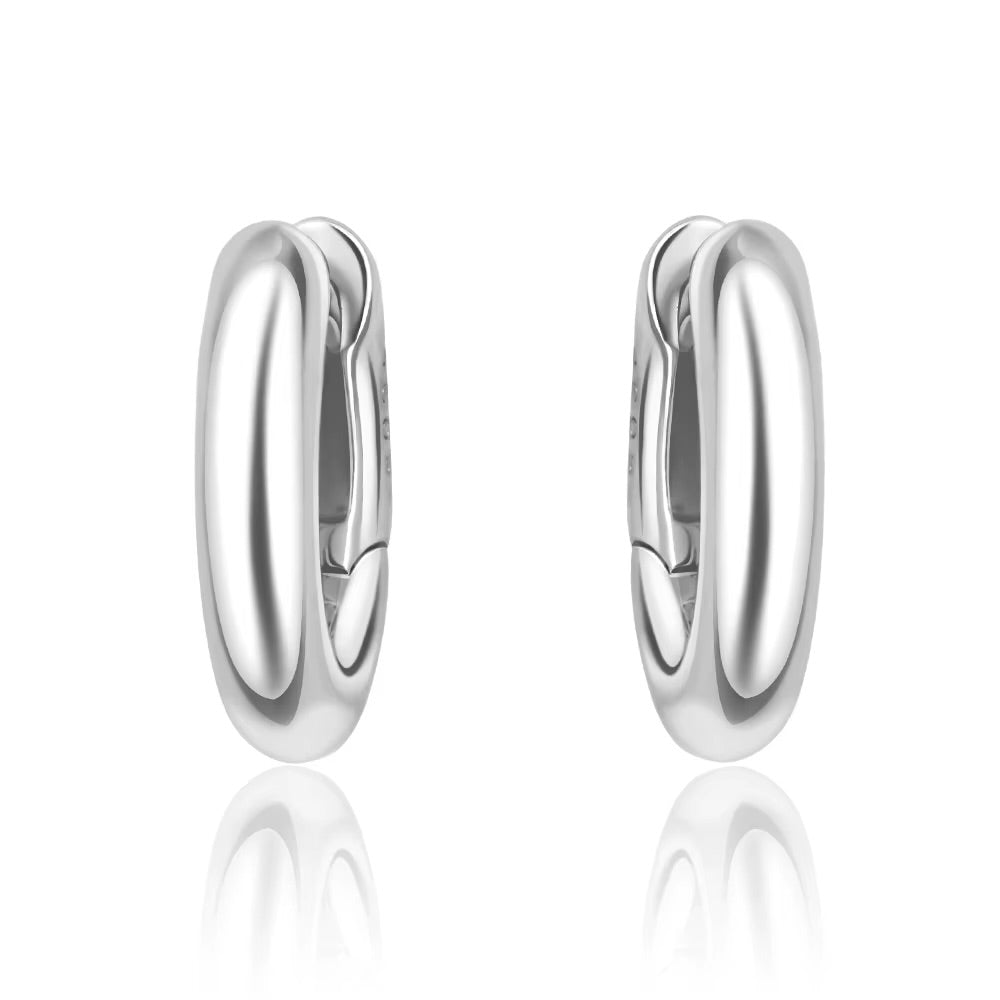 Silver 925 earrings