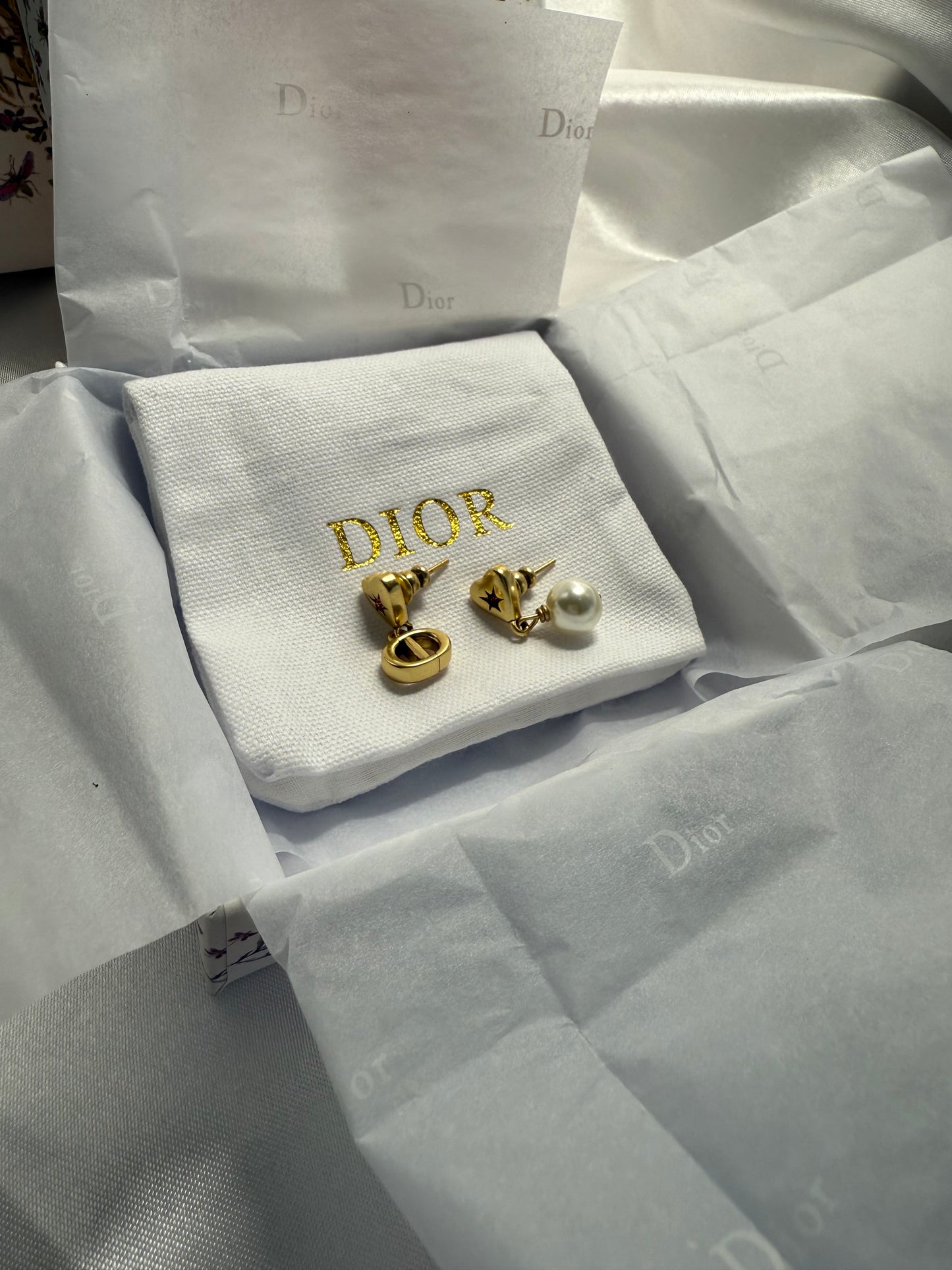 CD earrings