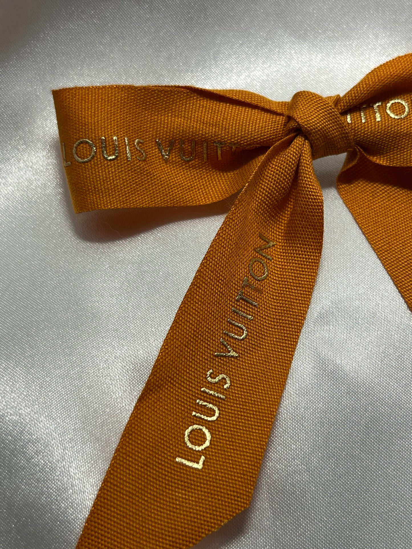 LV hair clips