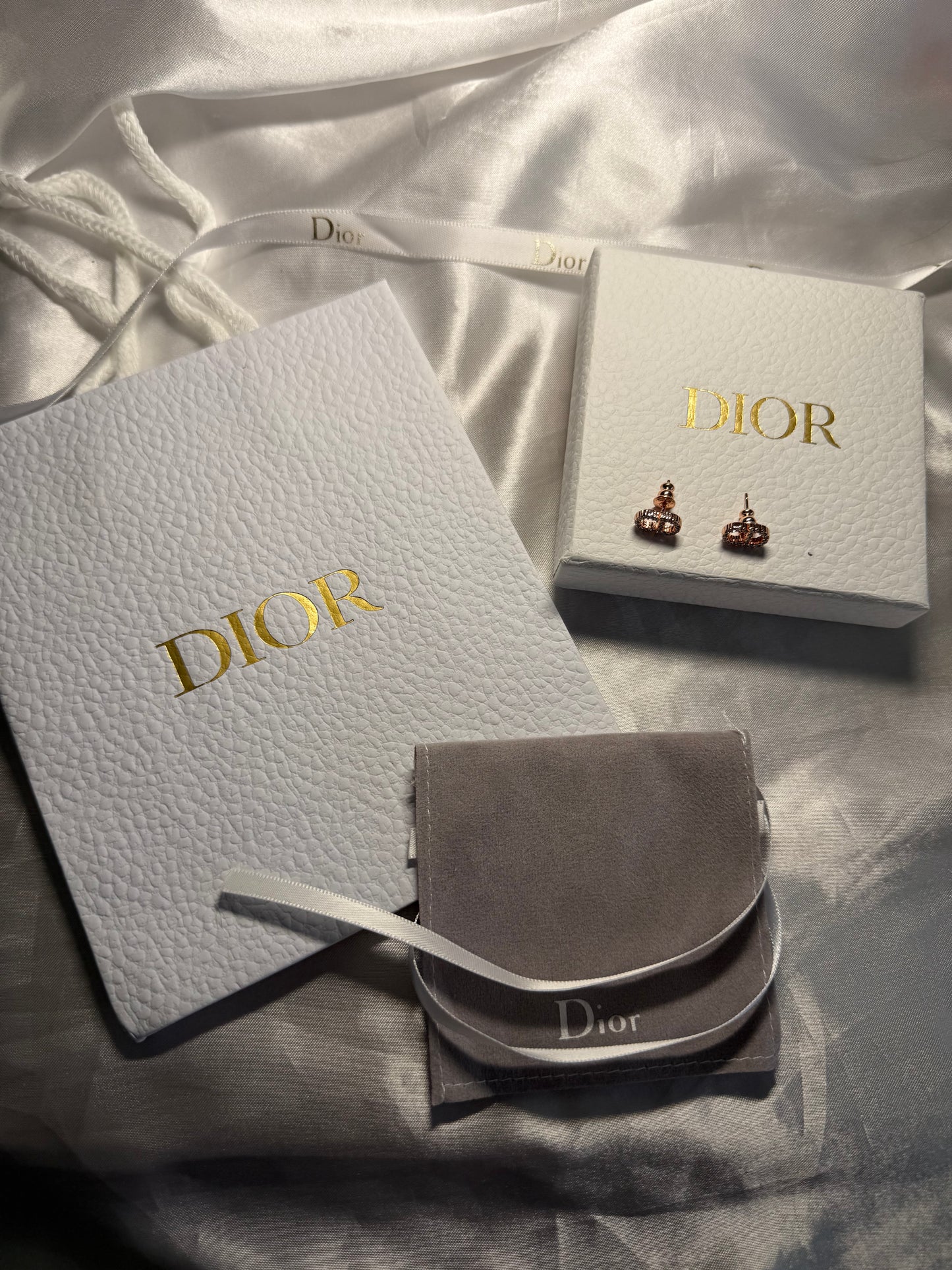 CD earrings