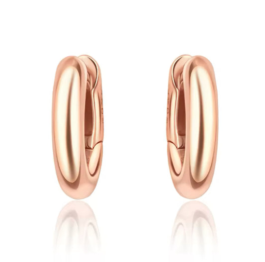 Silver 925 earrings