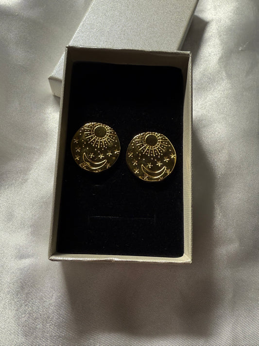 Stainless steel earrings