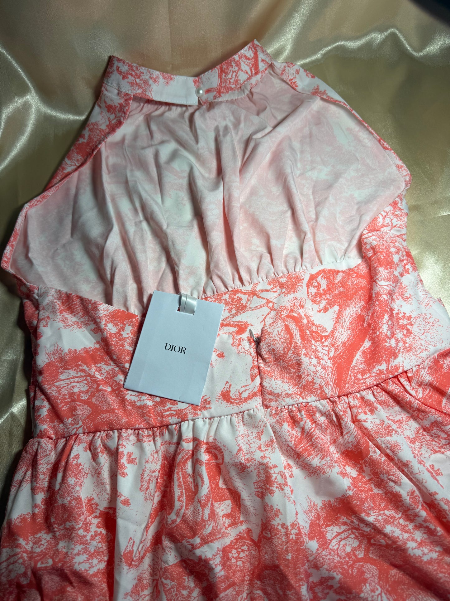CD animal dress