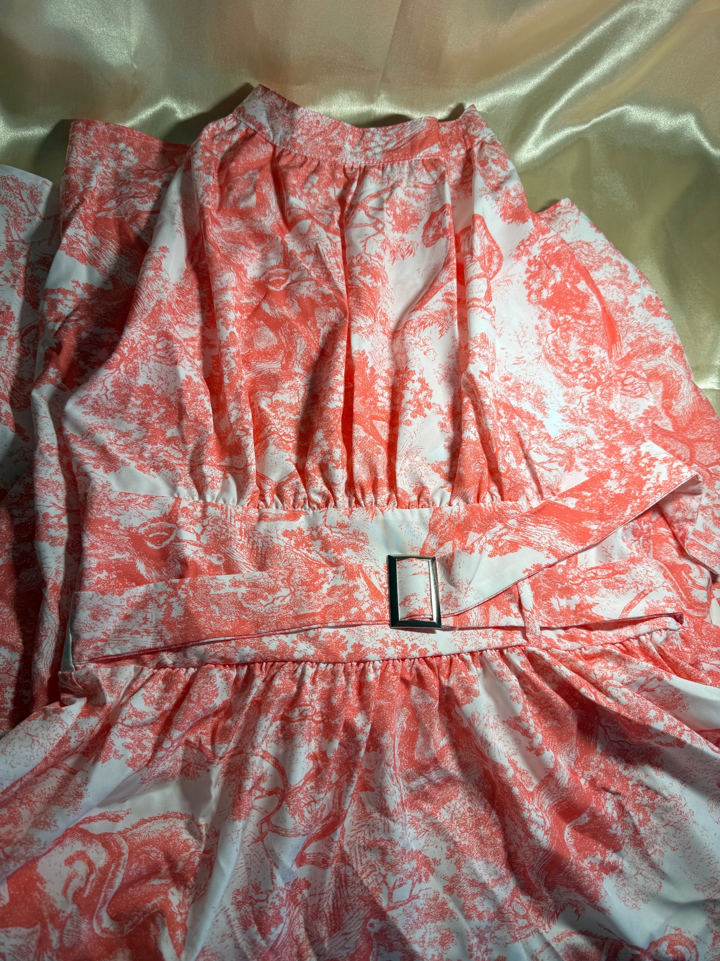 CD animal dress