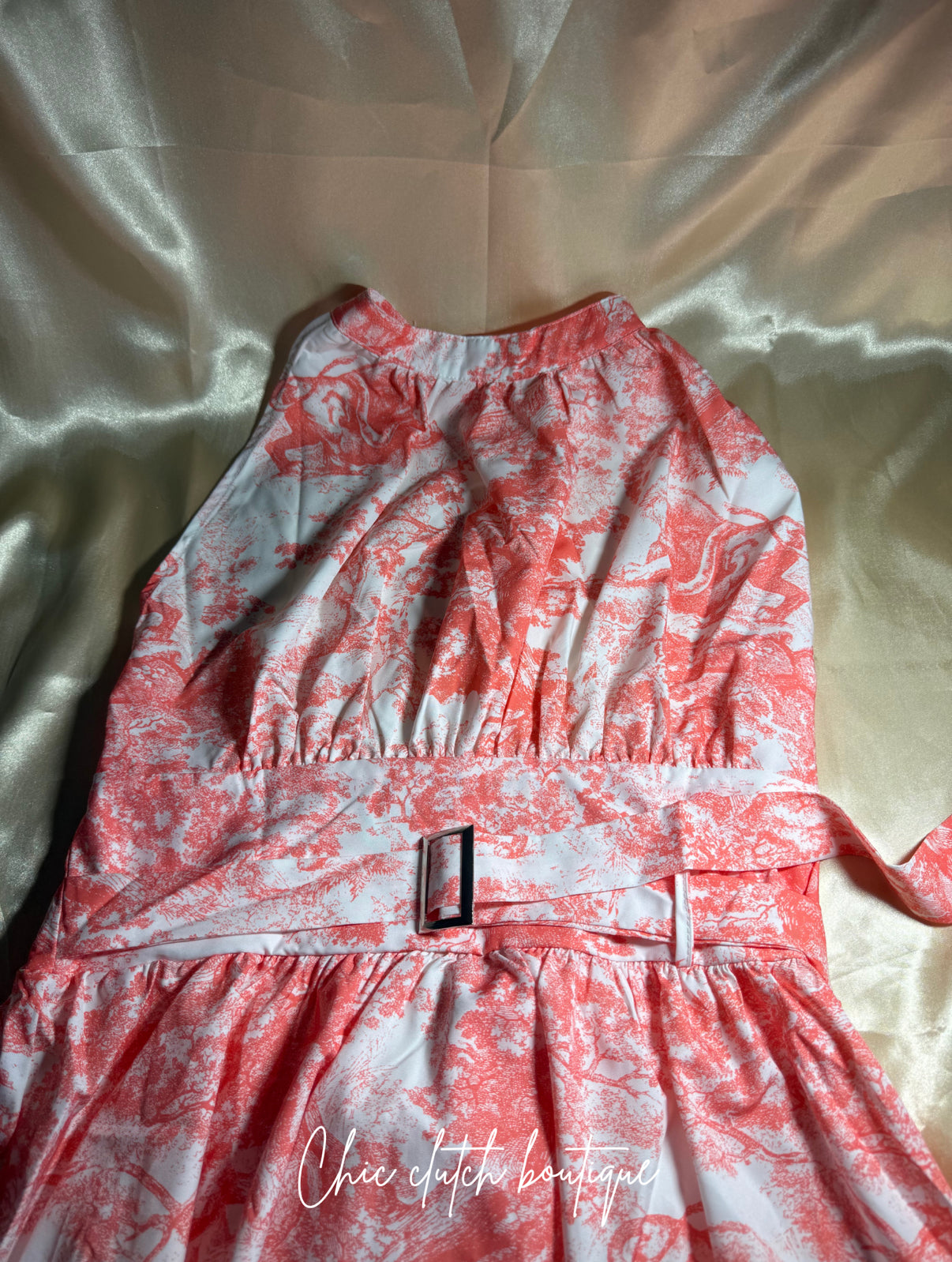 CD animal dress